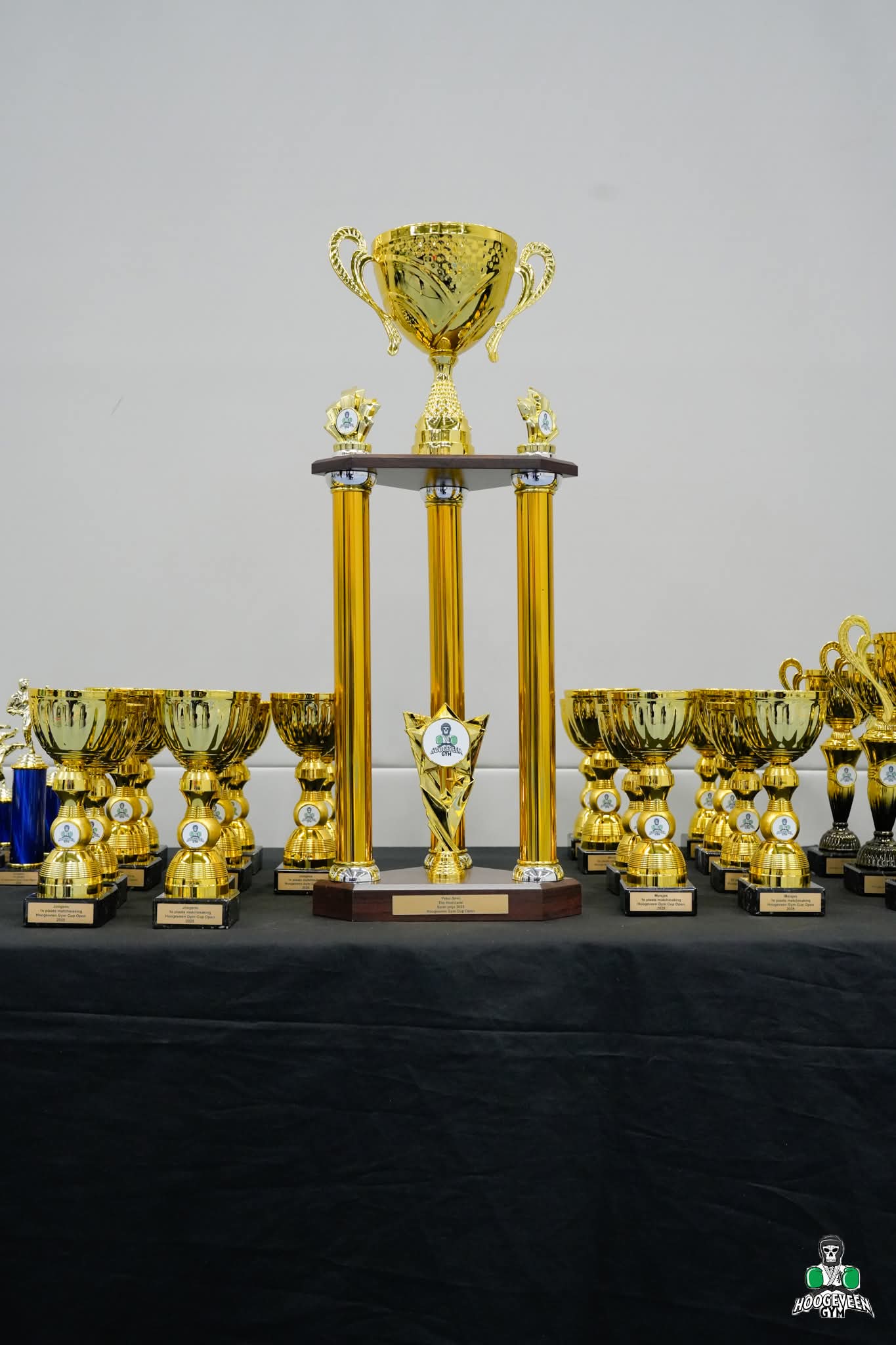 Bekers van de Hoogeveen Gym Cup